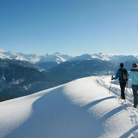 Appartement Petit-vallon A-b Crans-Montana